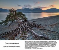 Объявляется конкурс «Живая природа Алтая - 2016»