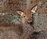 22 апреля - Международный день Земли! 