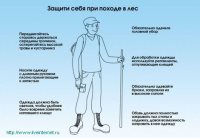 Жизнь заповедного кордона Байгазан. «А клещи уже проснулись!»