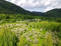 Проведена экспертная оценка садов Яйлинской террасы