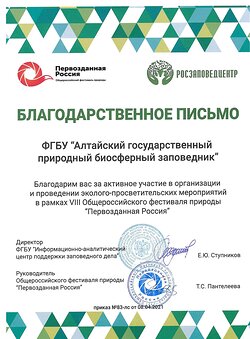 Благодарность за активное участие в VIII Общероссийском фестивале "Первозданная Россия"