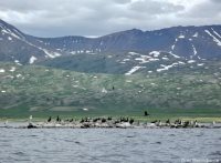 2 февраля – Всемирный день водно-болотных угодий