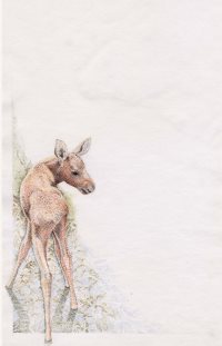 Традиции заповедного Алтая. Месяцеслов. ТУУЛАН АЙ. МАРТ.