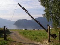 В центральной усадьбе Алтайского заповедника появился новый  забор из плавника