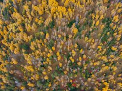 «Предзимье» в Алтайском заповеднике