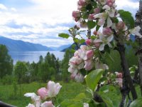 Прогулки по заповедному саду