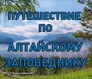 Приглашаем в новое масштабное виртуальное путешествие   по Алтайскому заповеднику