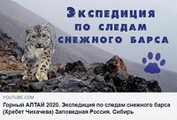 Экспедиция по следам снежного барса