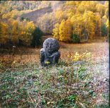 Фото В. Селегей