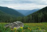 Алтайский биосферный заповедник в объективе фотографа Алексея Герасимова