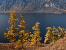 В Прителецкой части Алтайского заповедника наступают холода
