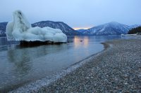 Новое на сайте