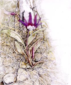 Месяцеслов. Апрель