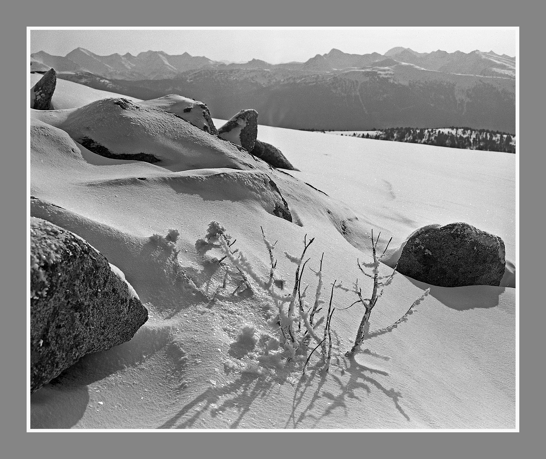 Дыхание живого