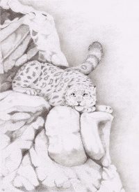 Чага-Байрам в год тигра