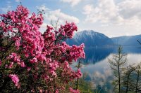 Алтайскому заповеднику 81 год!