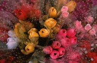 Поздравляем с юбилеем Татьяну Владимировну Зубину!