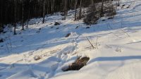 Жизнь заповедного кордона Байгазан. Зимние обходы.