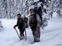 ОРНИТОЛОГИЧЕСКИЕ НОВОСТИ С УЧЕТНОГО МАРШРУТА НА ЯЙЛИНСКОЙ ТЕРРАСЕ И НЕ ТОЛЬКО. Январь 2020