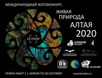 Стартует X международный фотоконкурс «Живая природа Алтая»