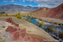 Природа Алтая в стенах ГМИЛИКА