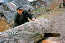 25-летие стажа в Алтайском заповеднике отмечает Валерий Николаевич Шутков, сотрудник отдела основного обеспечения. 