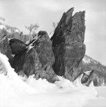 Альфред Поздняков. Знакомство с заповедником. Воспоминания