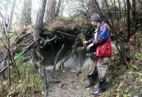 Почему дикие животные едят землю?