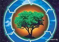 Первый в Сибири конкурс природоохранной журналистики «Алтай – Золотые горы»