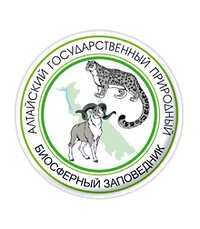 Новое на сайте