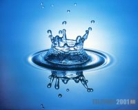 Хранитель Жизни