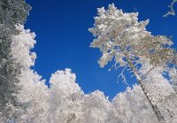 День заповедников и национальных парков!