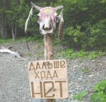 Виртуальный кинотеатр. Лучшее об Алтайском заповеднике.