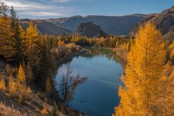 «Живая природа Алтая – 2020»