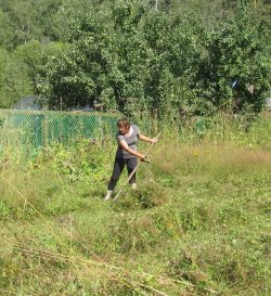 Сенокос на кордоне Байгазан