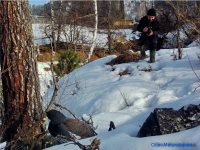 Заметки орнитолога: каким был март на яйлинской террасе и что случилось с глухарём.