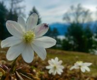 Внимание – клещи проснулись!