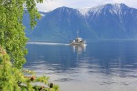 Майские хроники  или белинский рейд Заповедного Дозора 