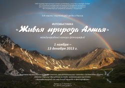 В кадре дикая природа Алтая