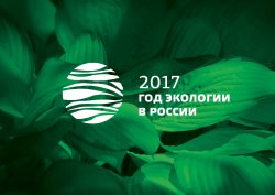 Утверждена официальная эмблема Года экологии в Российской Федерации