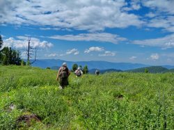 Жизнь в заповедных экспедициях. По следам ботанических маршрутов