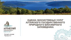 Об оценке экосистемных услуг лесов Алтайского заповедника рассказали на Всероссийской конференции «Заповедная наука» 
