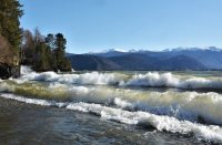 Дайверы-исследователи проводят экологический мониторинг Телецкого озера