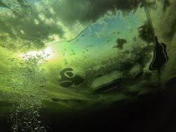 В ожидании весны