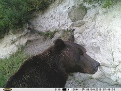 Новое в блоге: Окно в заповедную природу. У заповедных солонцов Алтын-Кёля.