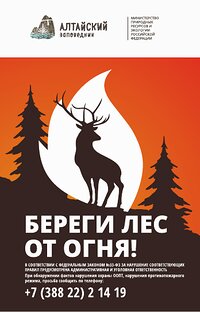 В Республике Алтай введен особый противопожарный режим 
