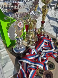 XIV Республиканский снегоходный Фестиваль «Телецкое Снежное ралли»