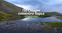 "По следам снежного барса": готовится третья добровольческая экспедиция.