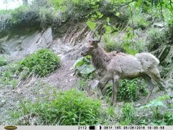 Весенние перемены