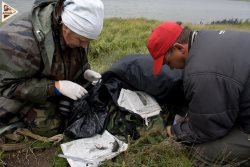 С КРАСНЫМ ДИПЛОМОМ В ЗАПОВЕДНИК